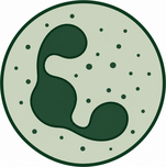 Isabella Hamner neutrophil logo